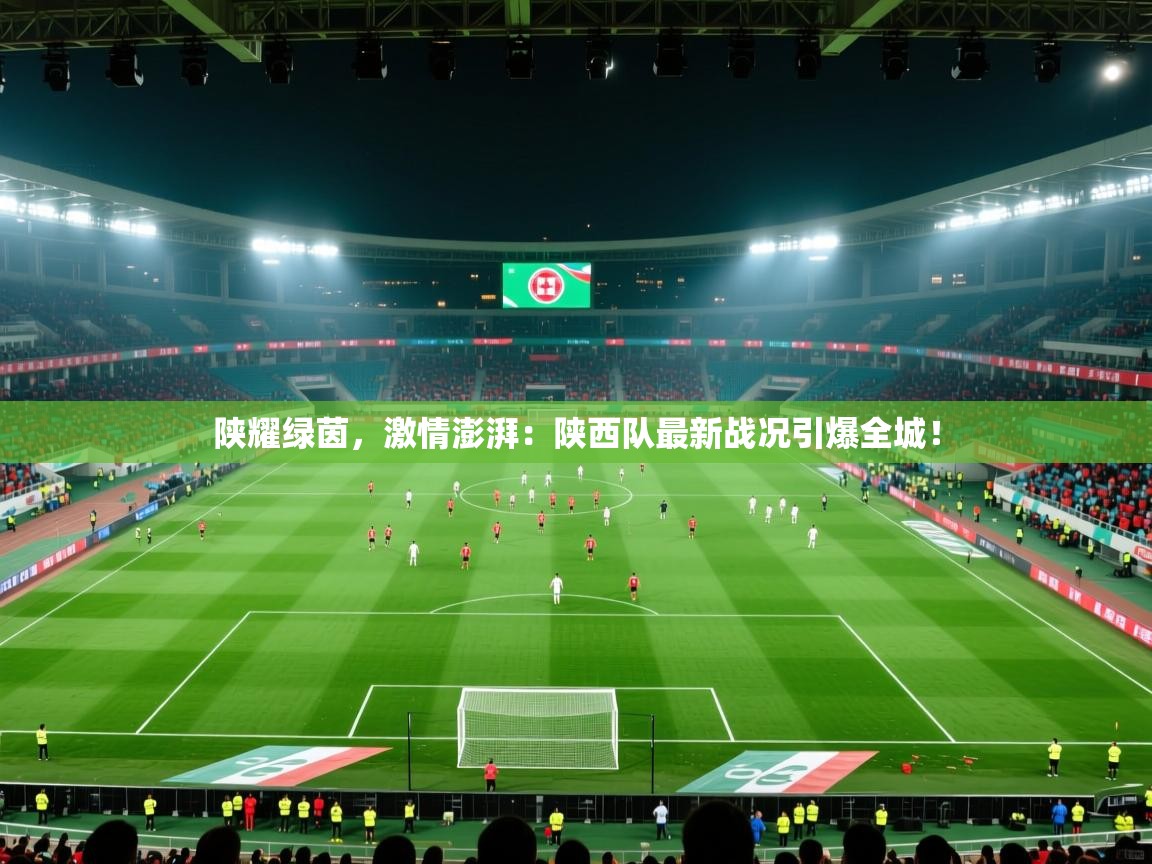 陕耀绿茵,激情澎湃:陕西队最新战况引爆全城! 第1张